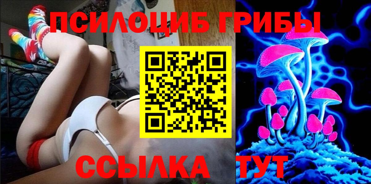 Псилоцибиновые грибы Psilocybe  Вход с VPN  Галлюциногенные грибы мухоморы  Тосно 
